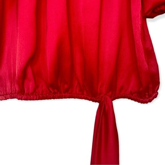 Prelude Shimmer On or Off the Shoulder Lantern Sleeve Tie Side Top - Size Large - Picture 10 of 10